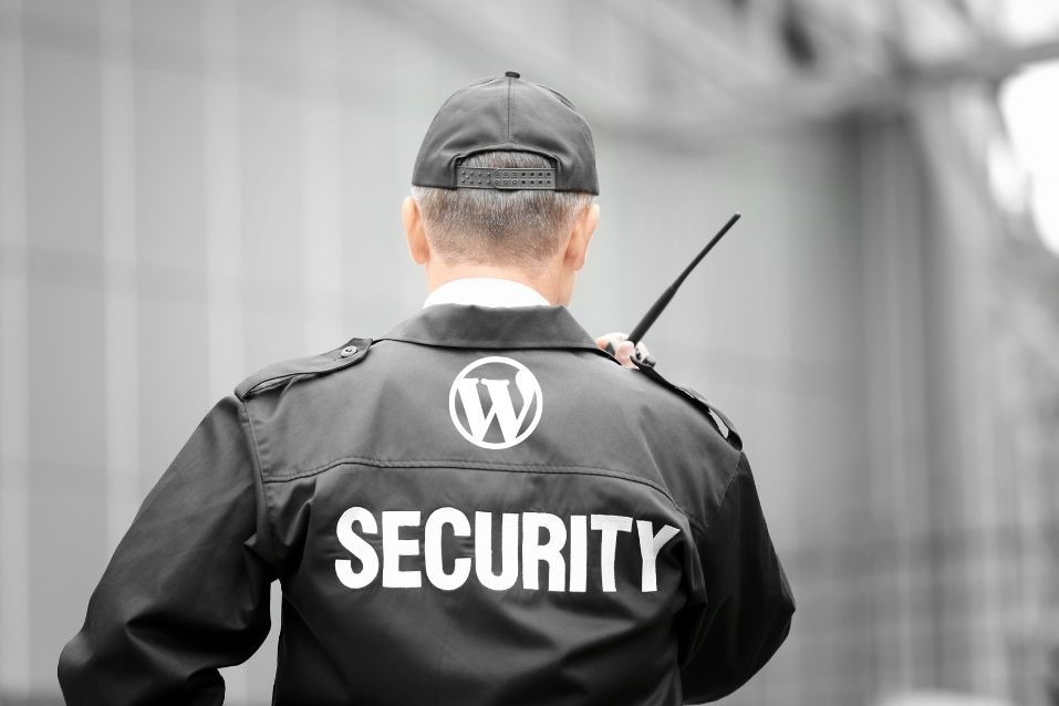 maintenance d'un site web sécurité wordpress